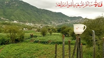 سورة الذاريات بصوت الأخ الفاضل يحيى آل المحن حفظه الله تعالى