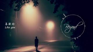 Beyond - 喜歡妳 / Like you