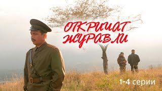 Откричат Журавли - 1-4 Серии Мелодрама