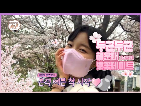 해운대의 모든것 ~ "해온" 4월 벚꽃시즌편 제 1탄 !