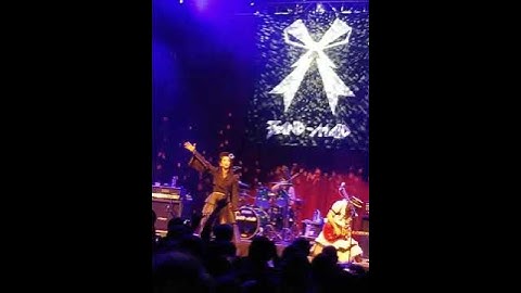 Thumbnail of Band-Maid - D.C. Mincho - Daydreaming Solo