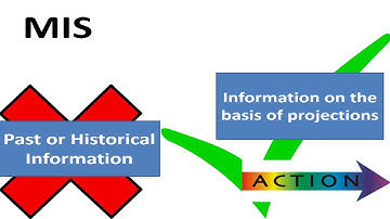 Characteristics of MIS