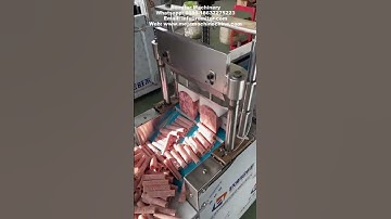 Automatic mutton roll cutting machine