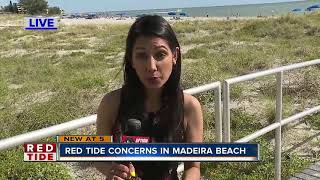 Red tide concerns in Madeira Beach