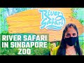 River Safari Singapore Zoo full walking tour 2021 || River Safari Baby Panda