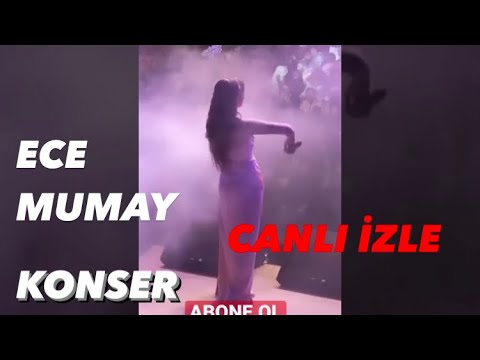 Ece mumay konser Canlı #shorts #short #shortvideo #shortsvideo #shortvideos #ecemumay