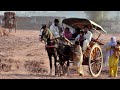 Unseen village life in punjab pakistanfull traditional culture in punjabrural village life