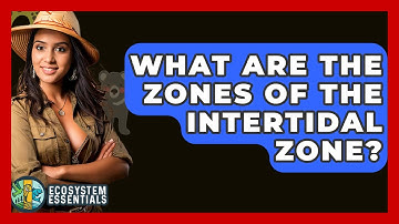 What Are The Zones Of The Intertidal Zone? - Ecosystem Essentials