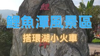 鯉魚潭風景區2022／環湖小火車／茶油故事館 