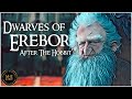 What Happened to the Dwarves of Erebor After The Hobbit? | Middle-earth Lore Explained