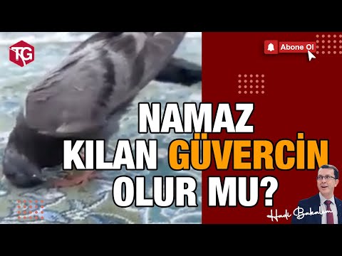 NAMAZ KILAN GÜVERCİN OLUR MU?