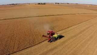 Harvest Time