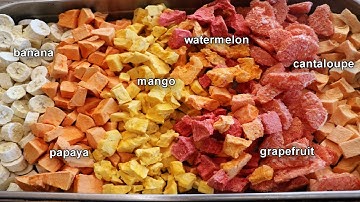 Freeze Dried Fruit Experiment | Part 2