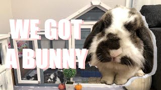We Adopted A Bunny | VLOG | American Lop