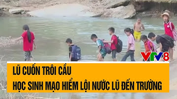 Lũ cuốn trôi cầu, học sinh mạo hiểm lội nước lũ đến trường