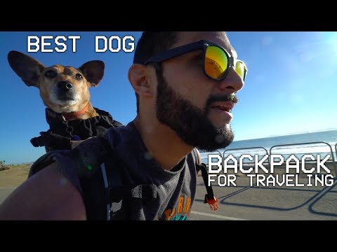 best-dog-backpack-carrier-for-traveling-and-hiking---k9-sports-sack-review