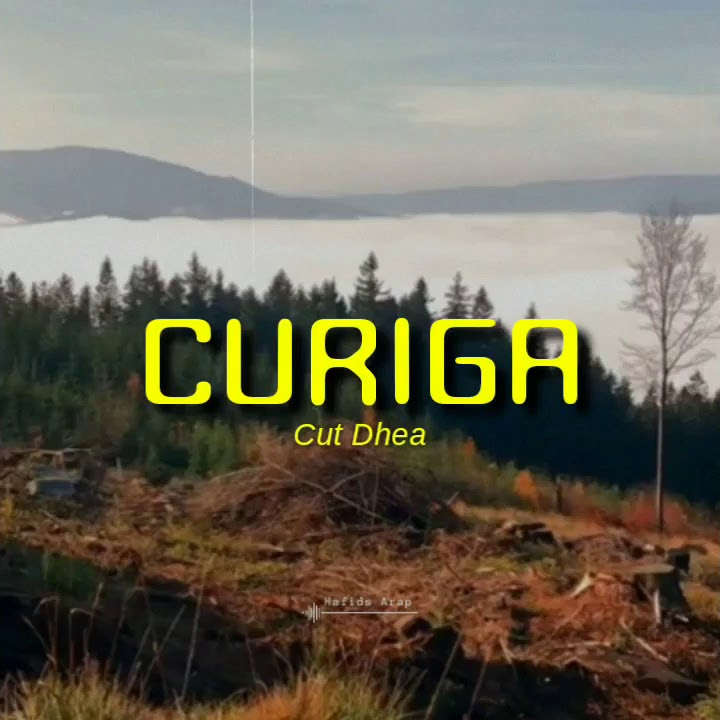 Cut Dhea Safira - Curiga