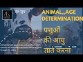 पशुओं की आयु/भार ज्ञात करना || COMPLETE CLASS || ONE SHOT || JET,ICAR,CUET,BHU AND OTHER Exam
