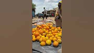 محلية الملم سلالة جبل مرة جبل مرة الملم دارفور 