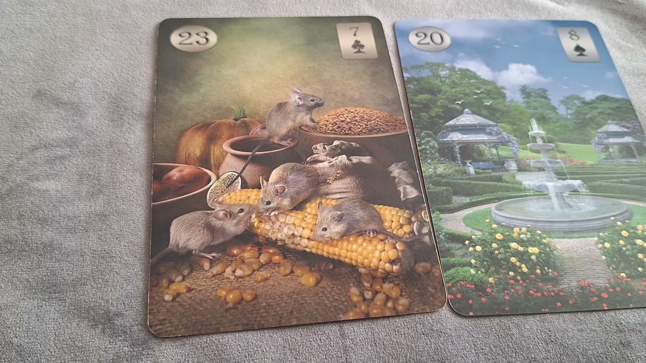 ЛЕНОРМАН.‼️ Опасные дуады‼️сочетания карт кризисных, опасных, смертельных и т.д