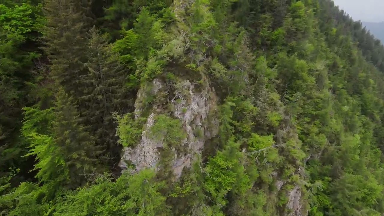 stupendi paesaggi e pinete