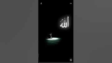 Surah At-Taghabun | Aya 11-14 | Raad Mohammad Al-Kurdi | سورة التغابن | آية ١١-١٤ | رعد محمد الكردي