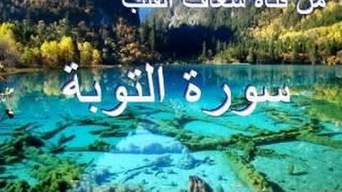 قراءة خاشعة بصوت الشيخ أبوبكرمومني صلاة التراويح 07 رمضان 1436 I سورة التوبة  2