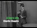 Charlie chaplin  une vie de chien  scne des mains