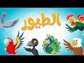 أنشودة الطيور قناة أسرتنا