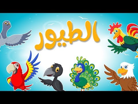 فيديو: صور قديمة للينينغراد ولينينغرادرز 1920-30 من القرن الماضي