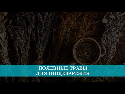 Полезные травы для пищеварения