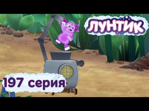 Насолил соседям (5 фото)