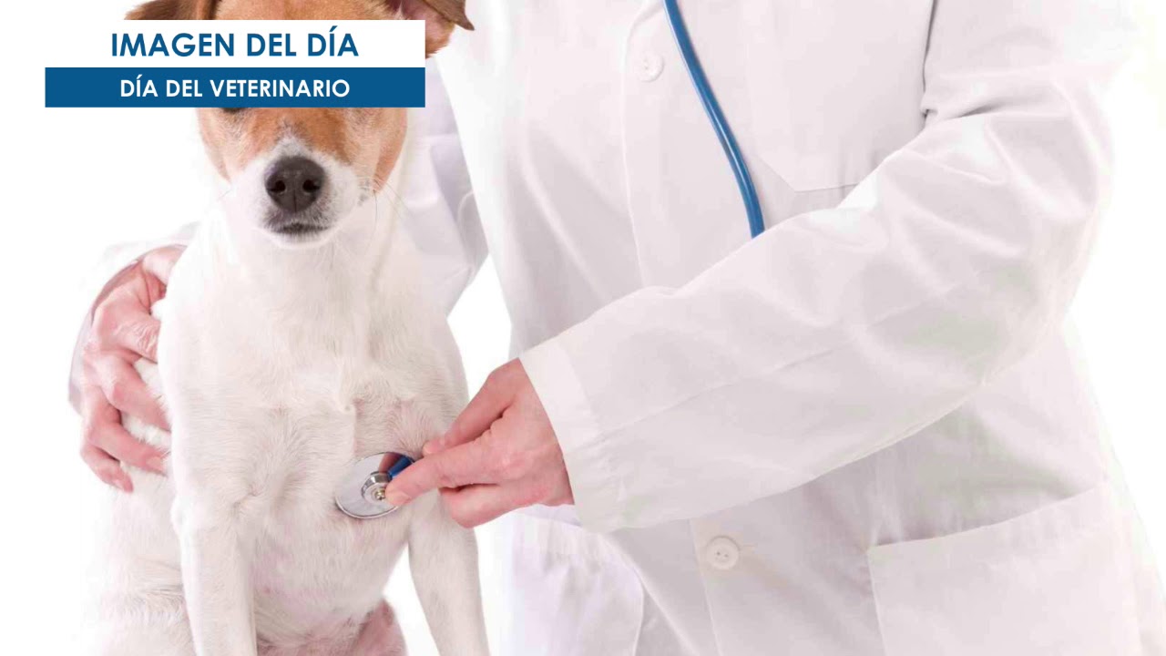 AHORA - El tiempo y el tránsito para este MARTES 6 de agosto