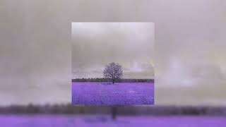 Grouper - Poison Tree [ 8D Audio ] [ Slowed + Reverb ] [ Lyrics in Description ]