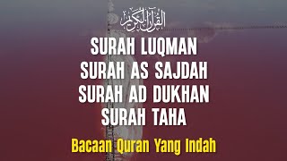 Murottal Quran Merdu - Surah Luqman, As Sajdah, Ad Dukhan, TaHa