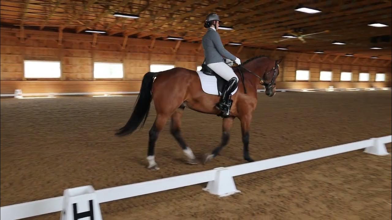 Ivy League Third Level Test 2 May 2022 YouTube