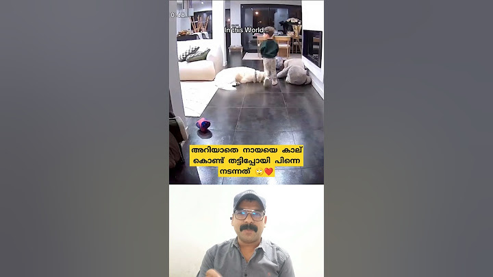 അറിയാതെ നായയെ തട്ടിയപ്പോൾ മകൻ ചെയ്തത് കണ്ടോ 🙄 #shorts #youtubeshorts #viralvideo #dog #reaction