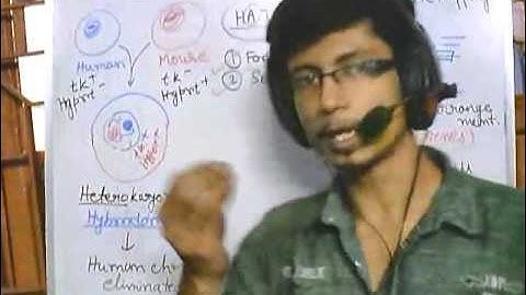 Gene mapping part 4 Somatic cell hybridization or somatic fusion