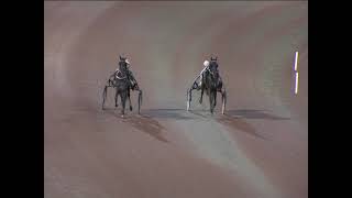 Vidéo de la course PMU PRIX TREARINGSLOPP