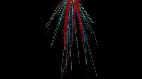 Root loss in a developing maize root system