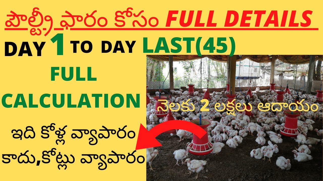 poultry farm business plan telugu
