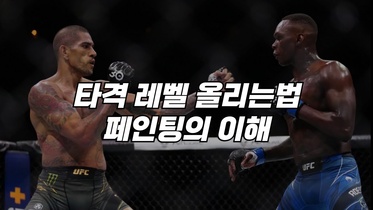 격투기 타격 레벨 올리는법2 - 페인팅의 이해
