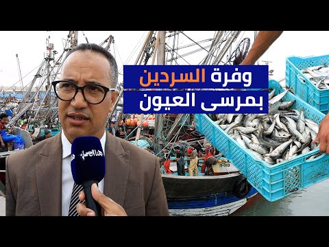 ميناء المرسى بالعيون يسجل انتعاش ا في مفرغات الأسماك السطحية
