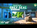 GREY SEAL Indoor Village  AQUATIC DOME Planet Zoo Aquatic Pack Speedbuild 04