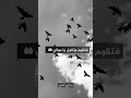 أجمل ساعة الشيخ عبد الرحمن الباهلي