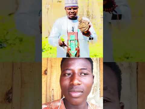 Maganin Kashin Shanu Daga Halifan Fada Jibia Tiktok12516 Alinuhu74 Hausa 