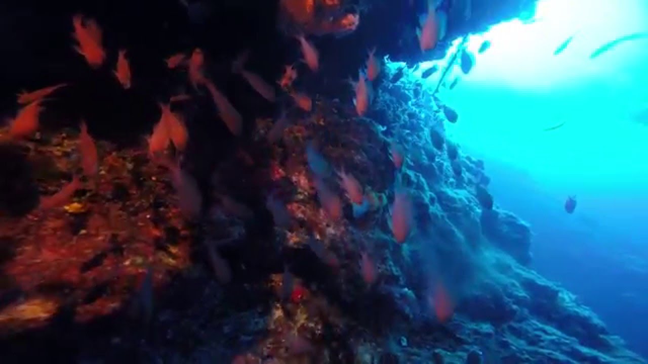 Wall diving in Fethiye / Turkey