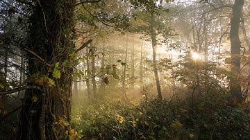 CJ4: How To Edit A Beautiful Landscape in Photoshop and Use Luminosity Masks to Blend Exposures