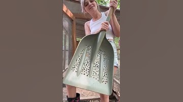 SAND FLOOR in the Chicken Coop: One-Month Review: Pros, Cons, and Surprising Discoveries