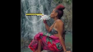 No No No - Souljah Boy Dj [ Zoukyton Remix ] x Highstate